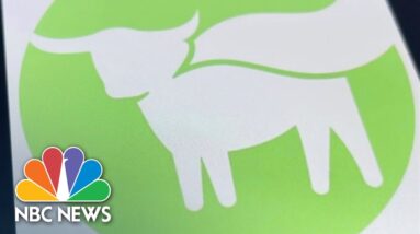 Beyond Meat COO Suspended For Allegedly Biting Man's Nose