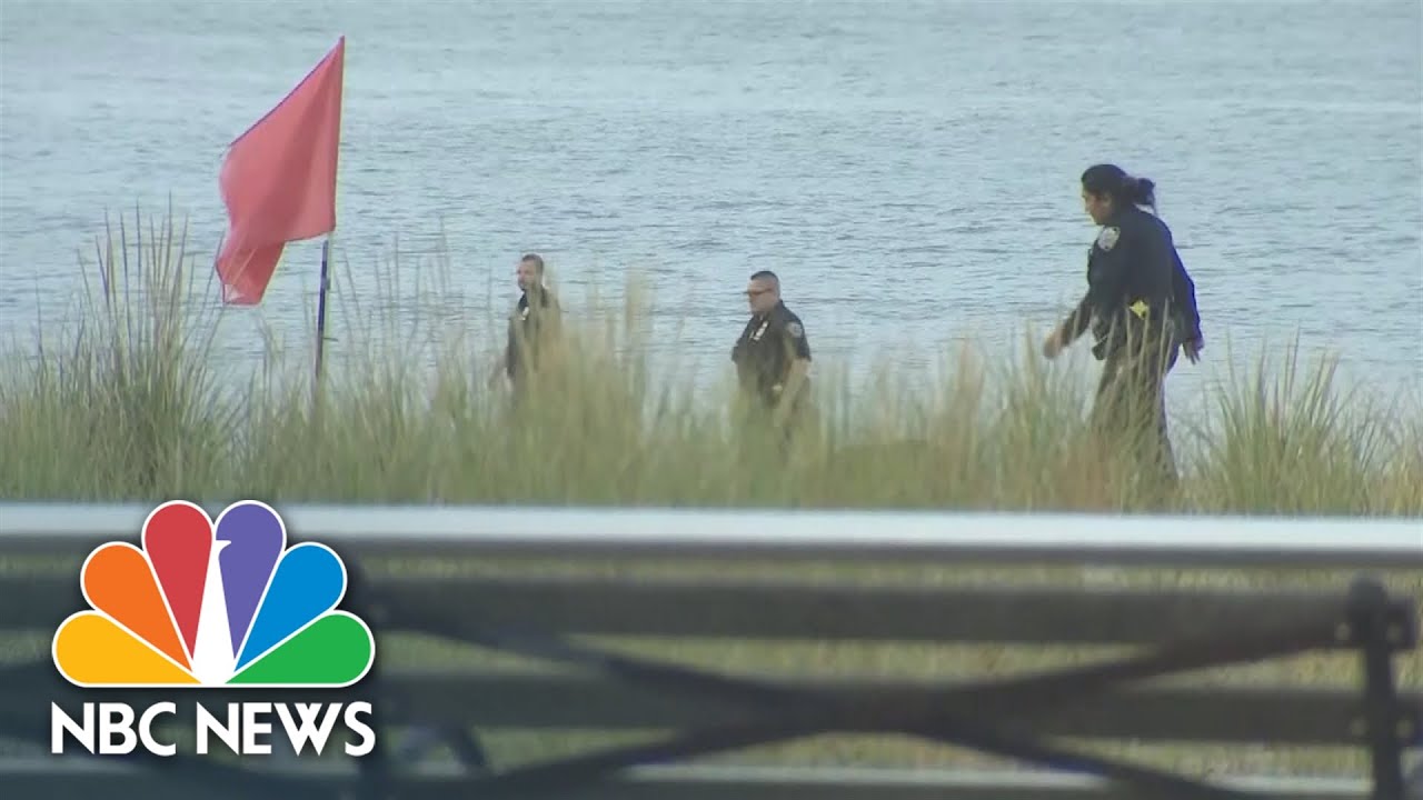 Mother In Custody After Three Children Found Dead On Brooklyn Beach