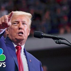 Full Panel: Ahead Of Midterms, 'Republicans Are Terrified About Trump Jumping Down Their Throats'