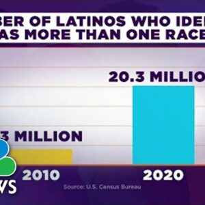 Who's Latino? Amid Growing Numbers The Definition is Expanding