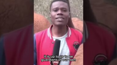 Elephant Interrupts TV Reporter