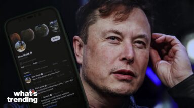 Elon Musk Raises Twitter Subscription Price and Fires Board | What's Trending Explained