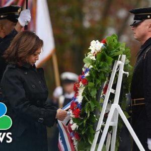 Harris Lays Wreath At Arlington National Cemetery For Veterans Day