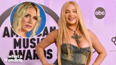 Kim Petras Sparks Controversy After Supporting Dr. Luke on Twitter | What's Trending Explained