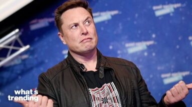 Elon Musk Responds To Outrage Over $8 Fee For Verified Users | What's Trending In Seconds | #Shorts