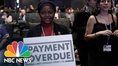 Watch: Ghanaian Climate Activist Draws Standing Ovation At COP27