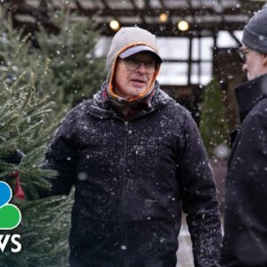 Nationwide Christmas Tree Shortage Drives Up Prices For Real Trees