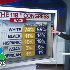 How ‘representative’ is the 118th Congress?