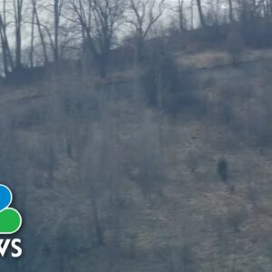 Michigan family dies in field after walking for days