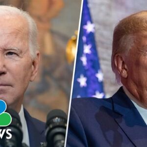 Voters have ‘very little enthusiasm’ for Biden or Trump 2024 run