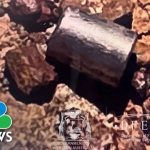 Missing radioactive capsule found in Western Australian