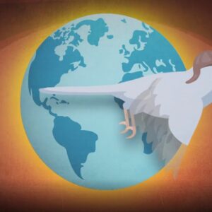 Did you know pigeons were used as a type of aerial surveillance? | Nightly News: Kids Edition