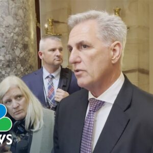 McCarthy says he would support a TikTok ban