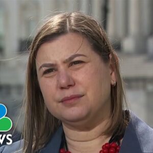 Michigan Rep. Slotkin 'done with being neutral' on gun safety