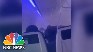 Southwest plane makes emergency landing after bird strike