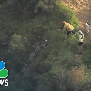 Watch: First responders rescue dog that fell down hill near L.A.’s Hollywood sign