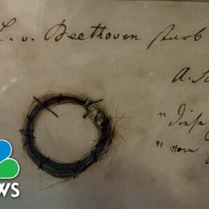 Strand of Beethoven’s hair offers clues into the composer’s death
