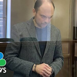 Putin critic jailed for 25 years for treason and denigrating the Russian military