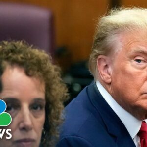 Courtroom reporter describes Trump's demeanor during arraignment