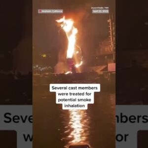 A fire-breathing dragon at #Disneyland suddenly burst into flames during the "Fantasmic!" live show.