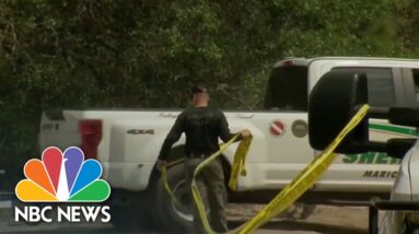 Two minors arrested, third at large in alleged Florida gang shooting
