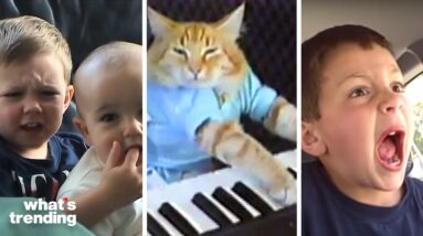The Top Viral Videos of the Early 2000s