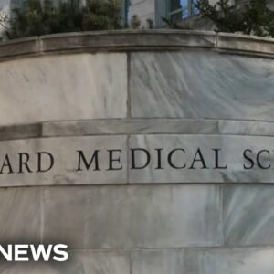 Two men arrested in connection with Harvard explosion